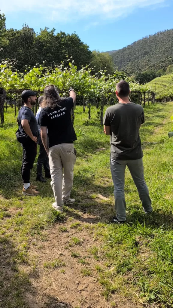 Visiting Galicia's Wine Country